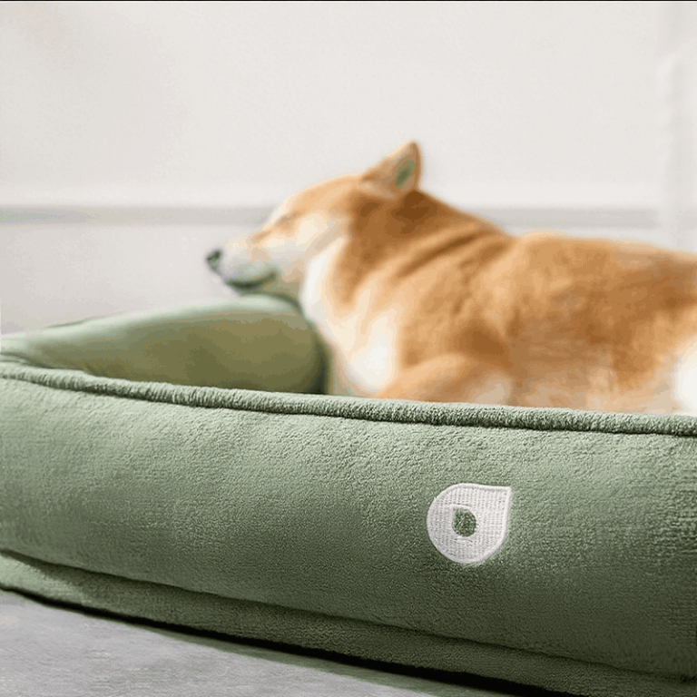 All-Season Dog Bed