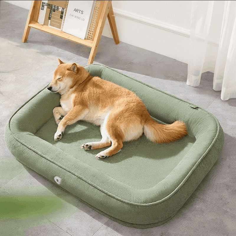 All Season Dog Bed light green 3