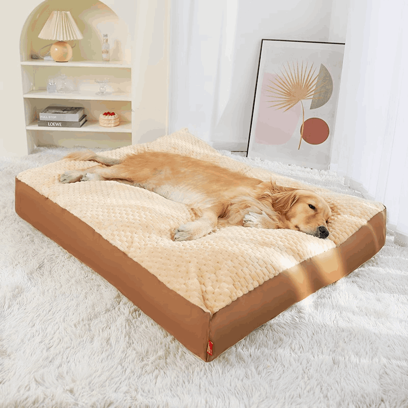 General Dog Bed