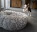 Choosing the right dog bed can improve your dog's happiness index.