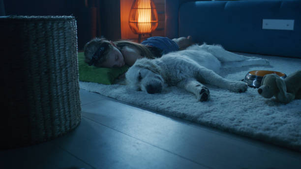 Does a dog's snoring have anything to do with dog bed?